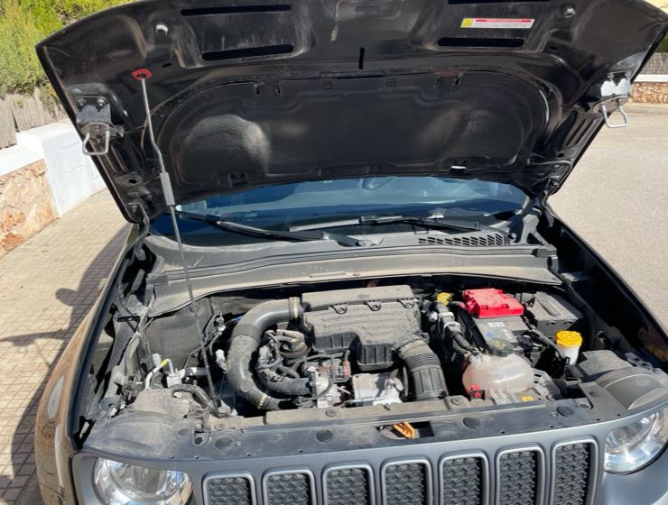 MOTOR_JEEP_RENEGADE