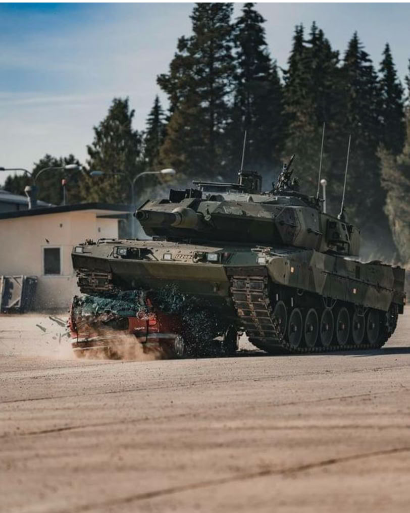 NPNEARLYPERFECT_NPKURIOSES_LEOPARD2