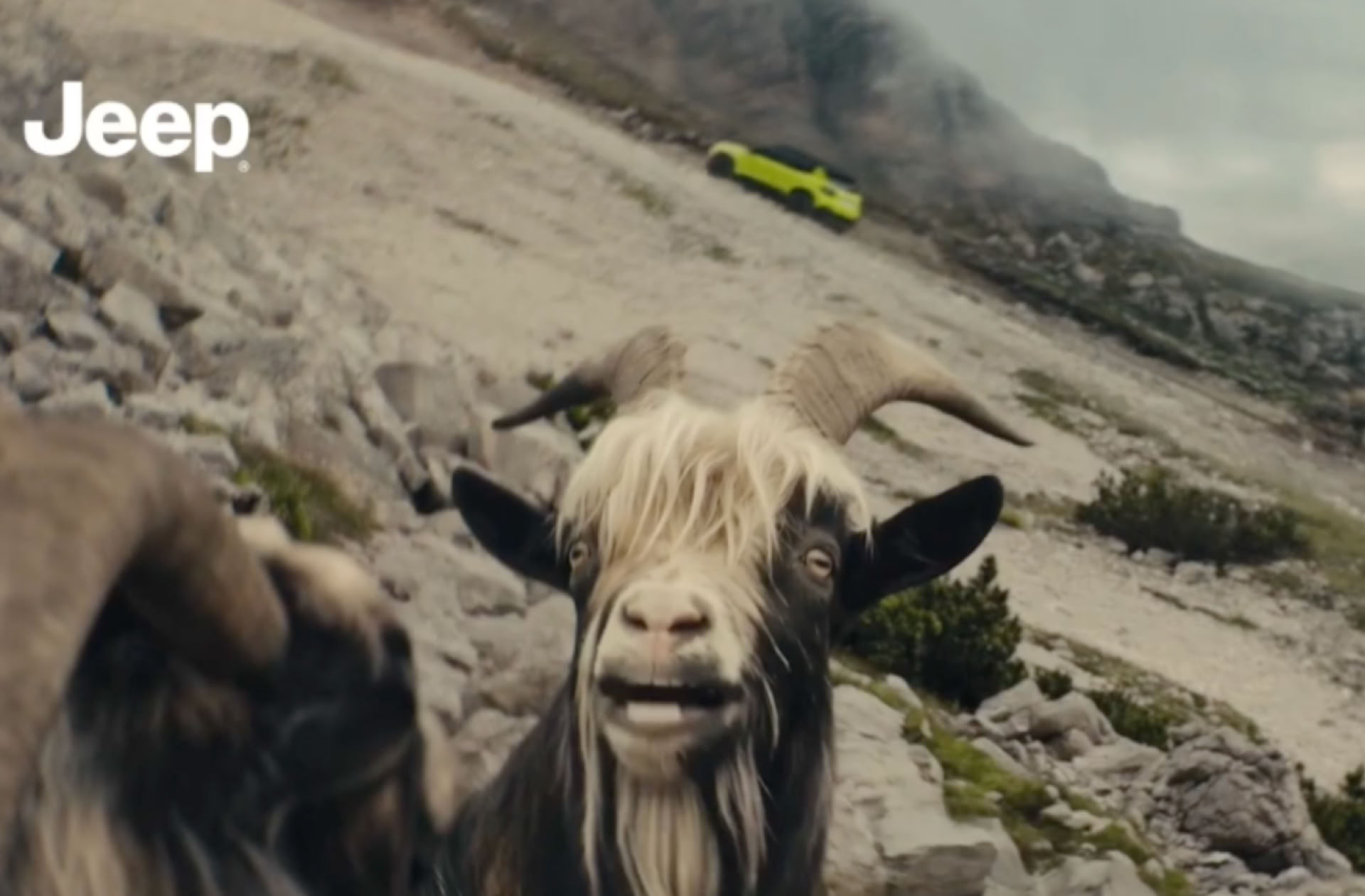 np-nearly-perfect-jeep-avenger-2027-ki-alpenziege-NPNEARLYPERFECT