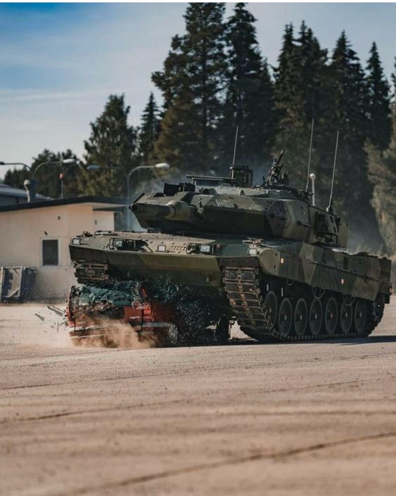 NPNEARLYPERFECT_NPKURIOSES_LEOPARD2