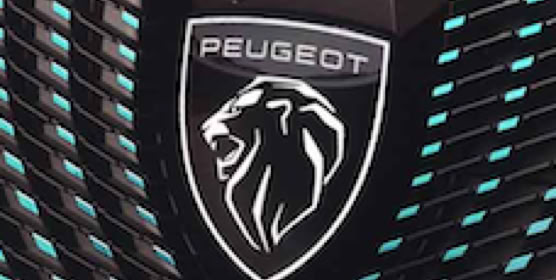 Peugeot nearlyperfect testing np cartesting