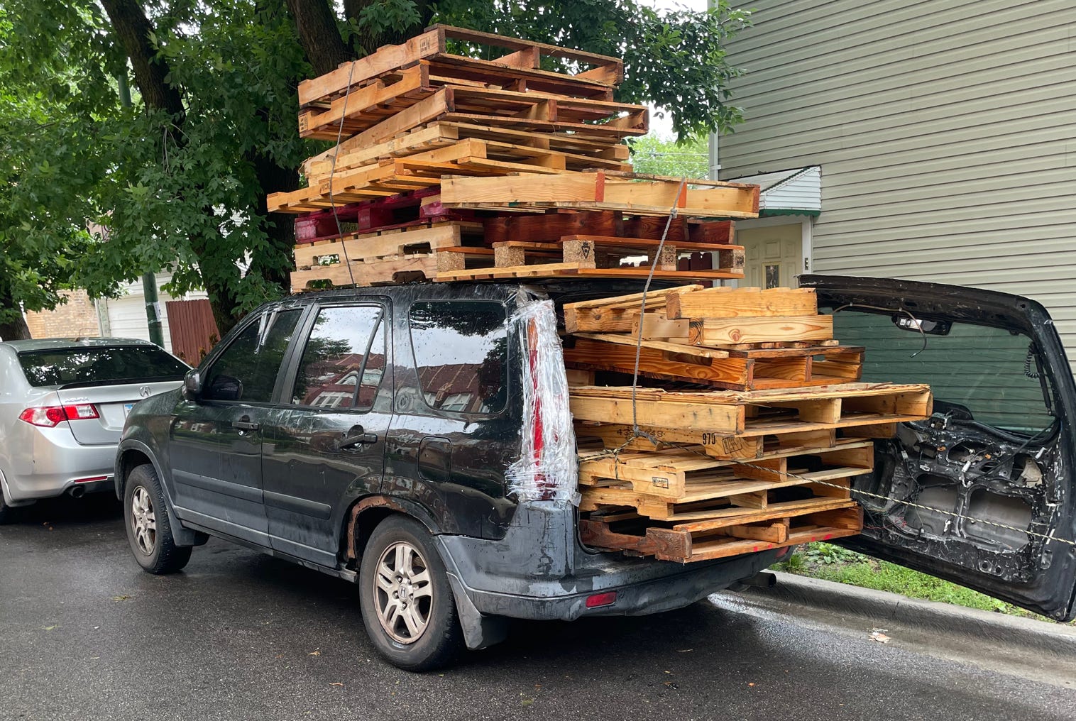 NPNEARLYPERFECT_NPKURIOSES_LATINO_PICKUP