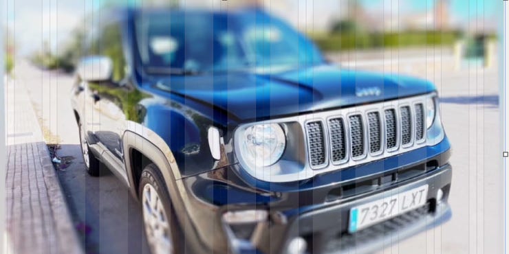 NP_NEARLY_PERFECT/NEARLY_PERFECT/NP/ARMIN_RUSCHEINSKY/NEARLY_PERFEFCT/JEEP/RENEGADE/PROFI_LUPE